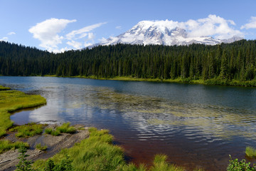 Au Mont Rainier National Park, USA