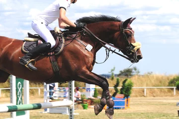 Frühlingssport