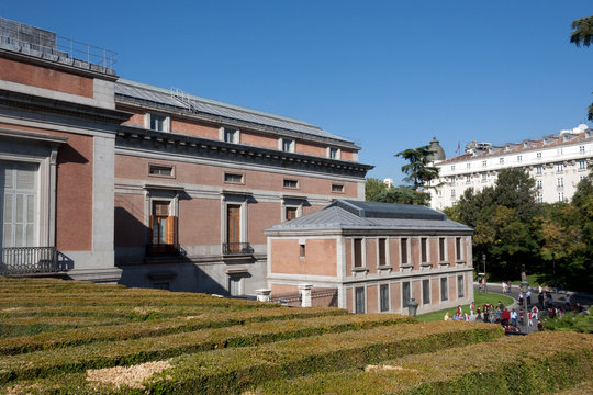 Exterior garden El Prado Museum, clipped hedges - Spain