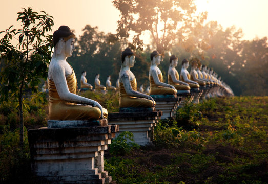 Buddhas garden