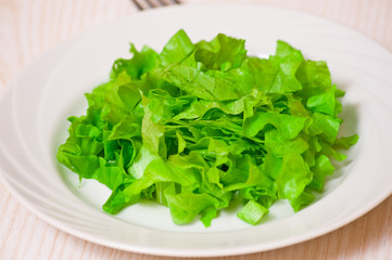 fresh green lettuce leaves on white dish