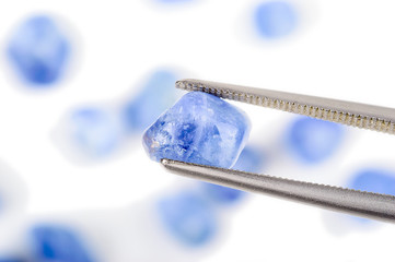 Blue natural uncut sapphire crystal. One held by tweezers.