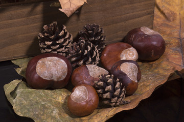 Castañas, piñas y hoja en otoño