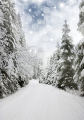 Fototapeta premium Beautiful winter landscape with snow covered trees