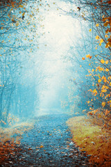 Foggy day in autumn © Jürgen Fälchle