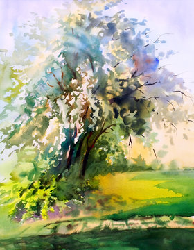 Watercolor painting of the blooming spring tree