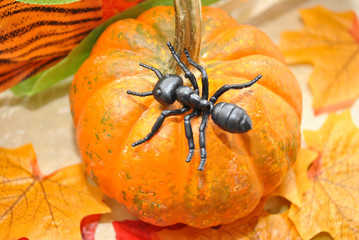 Toy Ant on a Fall Pumpkin