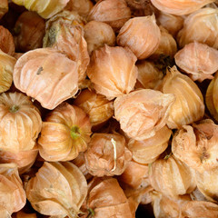 Thai Fruit "Cape gooseberry" in isolate white background , Intha