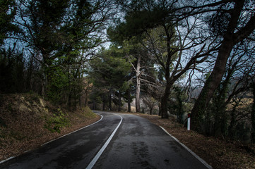 Fototapeta premium curva strada