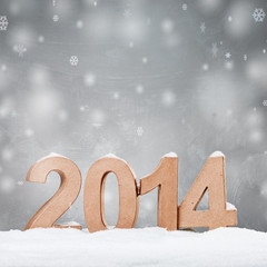 Celebrating New Year 2014