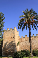 Stadtmauer in Alcudia mit Palme unter blauem Himmel