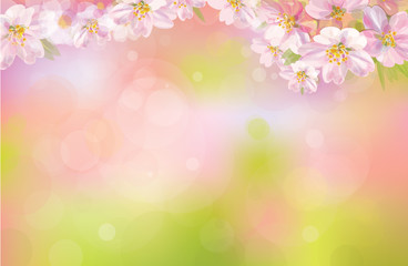 Vector of spring background.