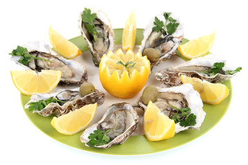 Oysters isolated on white