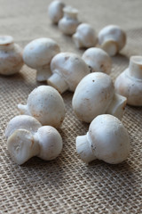 Champignons