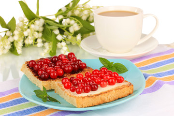 Delicious toast with cranberries on plate close-up