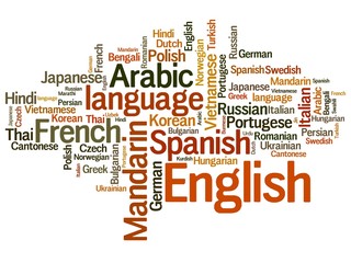 Fototapeta premium Languages tag cloud - languages diversity