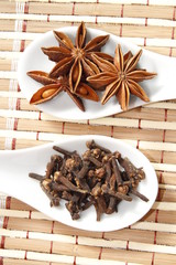 star anise and clove on white ceramic spoon