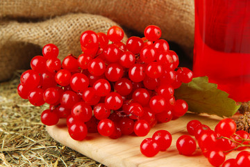 Red berries of viburnum