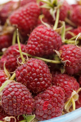 fresh raspberries