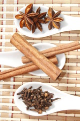 star anise with cinnamon sticks and cloves