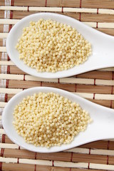 millet on white ceramic spoon