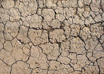 Cracked earth