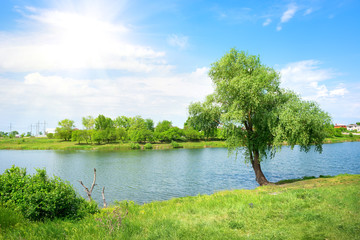 Fototapeta na wymiar Drzewa i jezioro