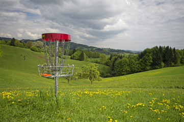 Disc-Golf-Korb