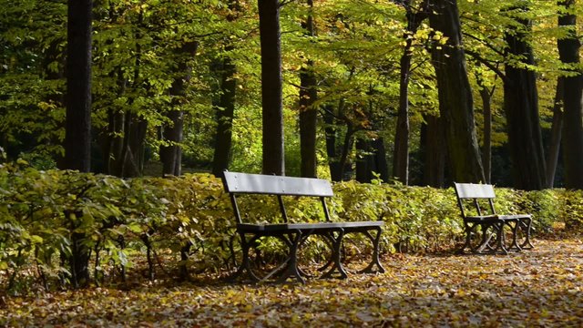 Row of benches in park Lazienki Krolewskie in Warsaw, Poland