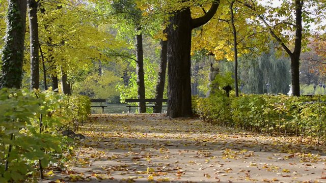 Beautiful autumn park Lazienki Krolewskie in Warsaw, Poland