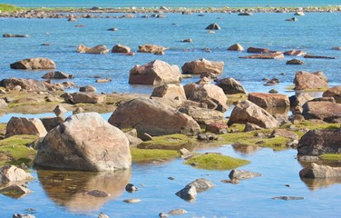 Hudson Bay Low Tide Stone Desert