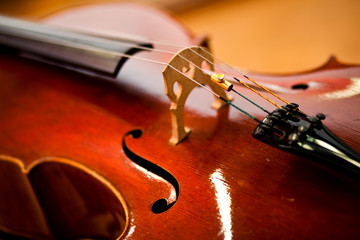 Violoncello close up