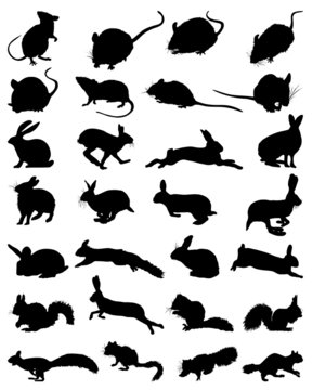 Black silhouettes of rodents, vector illustration