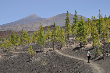 Aufstieg zur Montana de la Botija, Teneriffa