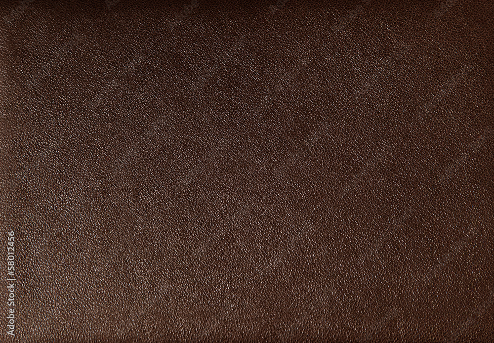 Wall mural Leather texture