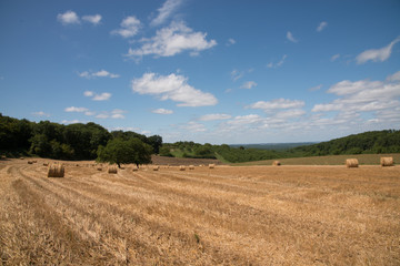 Obraz premium Perigord (Francja)