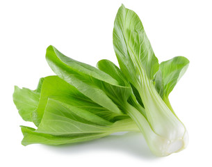 Bok choy (chinese cabbage) isolated on white