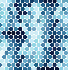 Blue Hexagonal Pattern