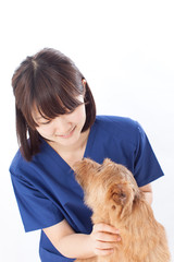 犬を診察する女性