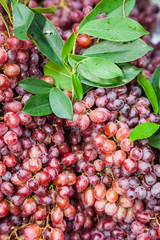 The grape for sale in Thailand street market