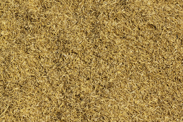Husk background