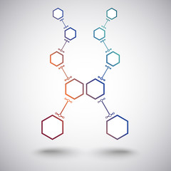 two branches of five cell gradient