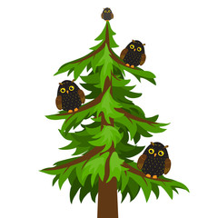 Owl tree on a white background