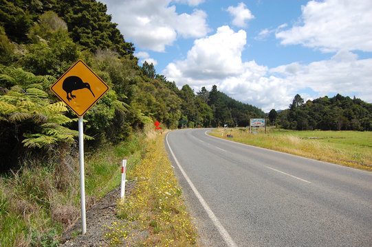 Yellow kiwi bird road sign at roadside