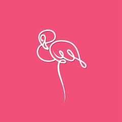Flamingo bird