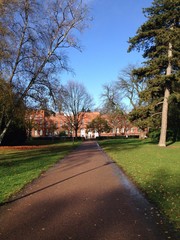 viale