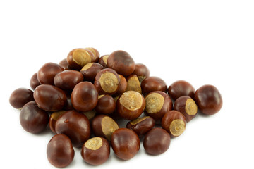 Conkers or Horse chestnuts