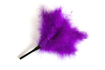 Purple Feathered fetish equipment - obrazy, fototapety, plakaty