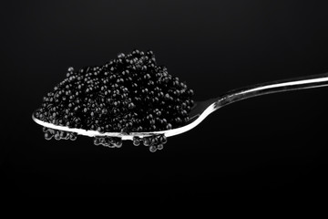 Black caviar in metal spoon