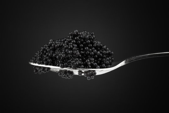Black caviar in metal teaspoon. Macro photo